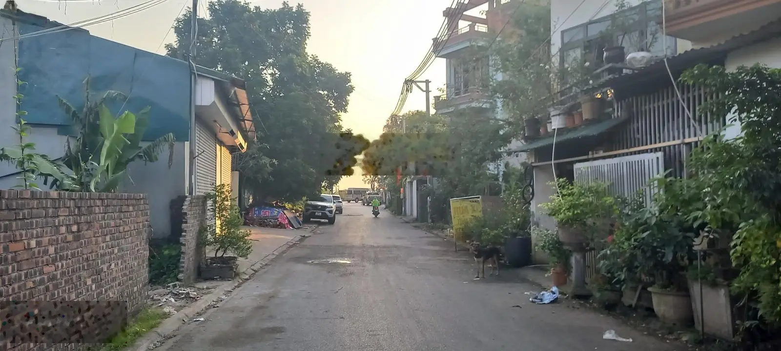 Bán đất 65m2, mặt tiền 5 m, đẹp nhất Đông Dư, giá cực rẻ