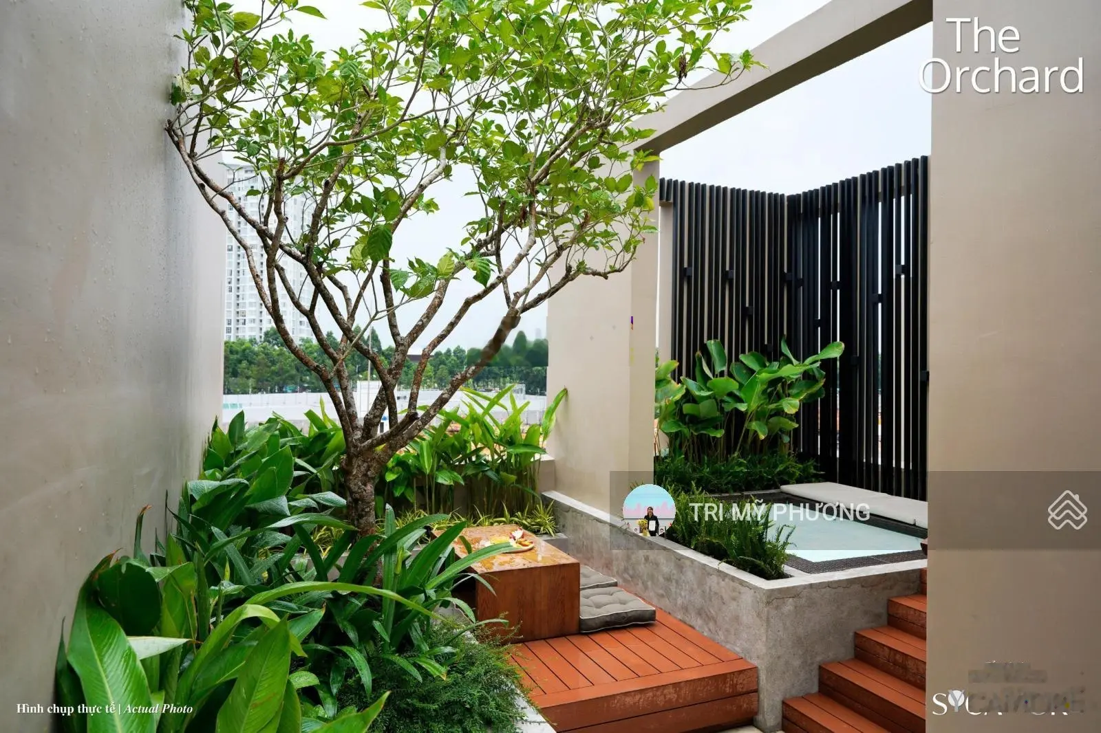 Giỏ hàng đặc biệt tháng 10 biệt thự Sycamore Bình Dương - Nâng tầm phong cách sống chuẩn Singapore