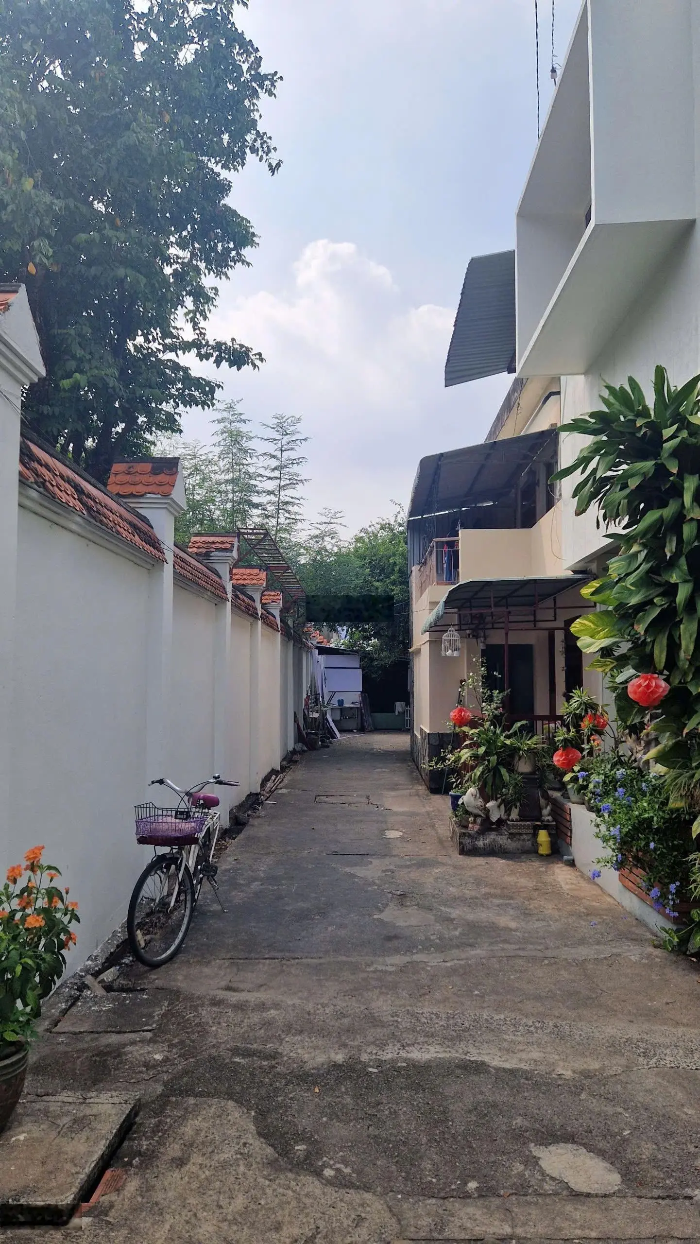 Siêu phẩm giá cực tốt 810m2(16.7x48.5) mặt tiền đường kinh doanh giá chỉ 86tr/m2 trung tâm Bình Thọ