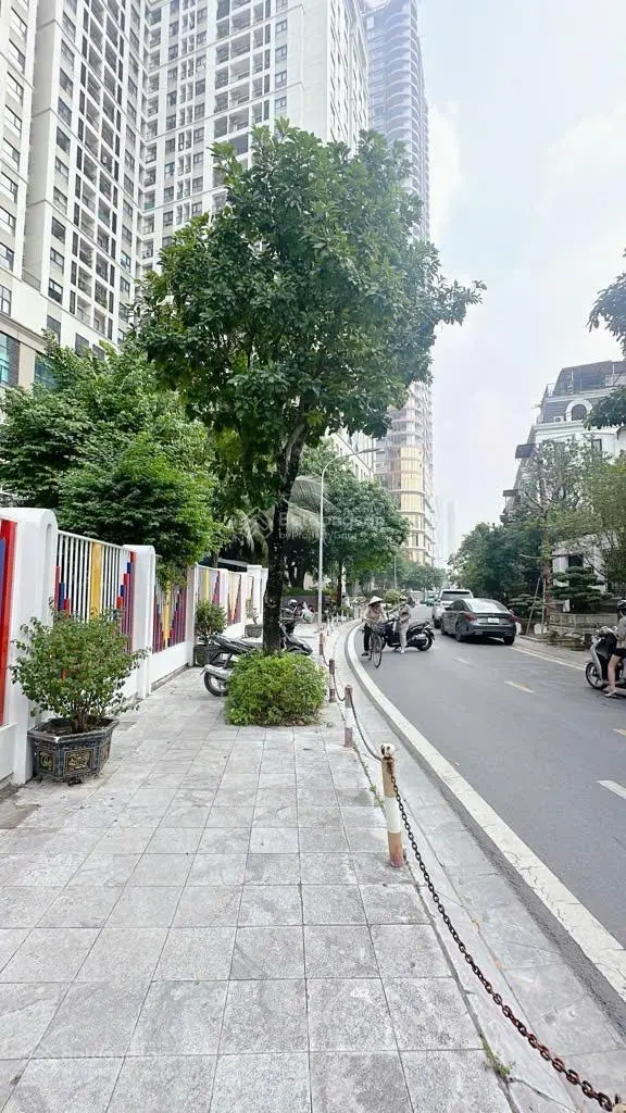 Bán biệt thự 191m2 Roman Plaza , Tố Hữu, cho thuê 550tr, giá chỉ 50.8 tỷ
