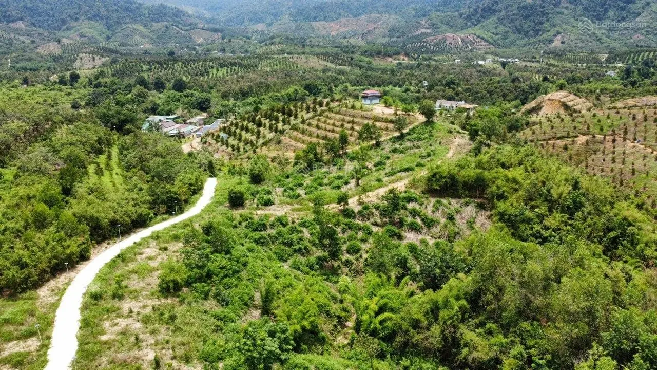 Bán gấp! Lô đất Làng Doanh Nhân, Phước Lộc-Đạ Huoai-Lâm Đồng - SHR! Sẵn TC! Giá ưu đãi CĐT - HH% MG