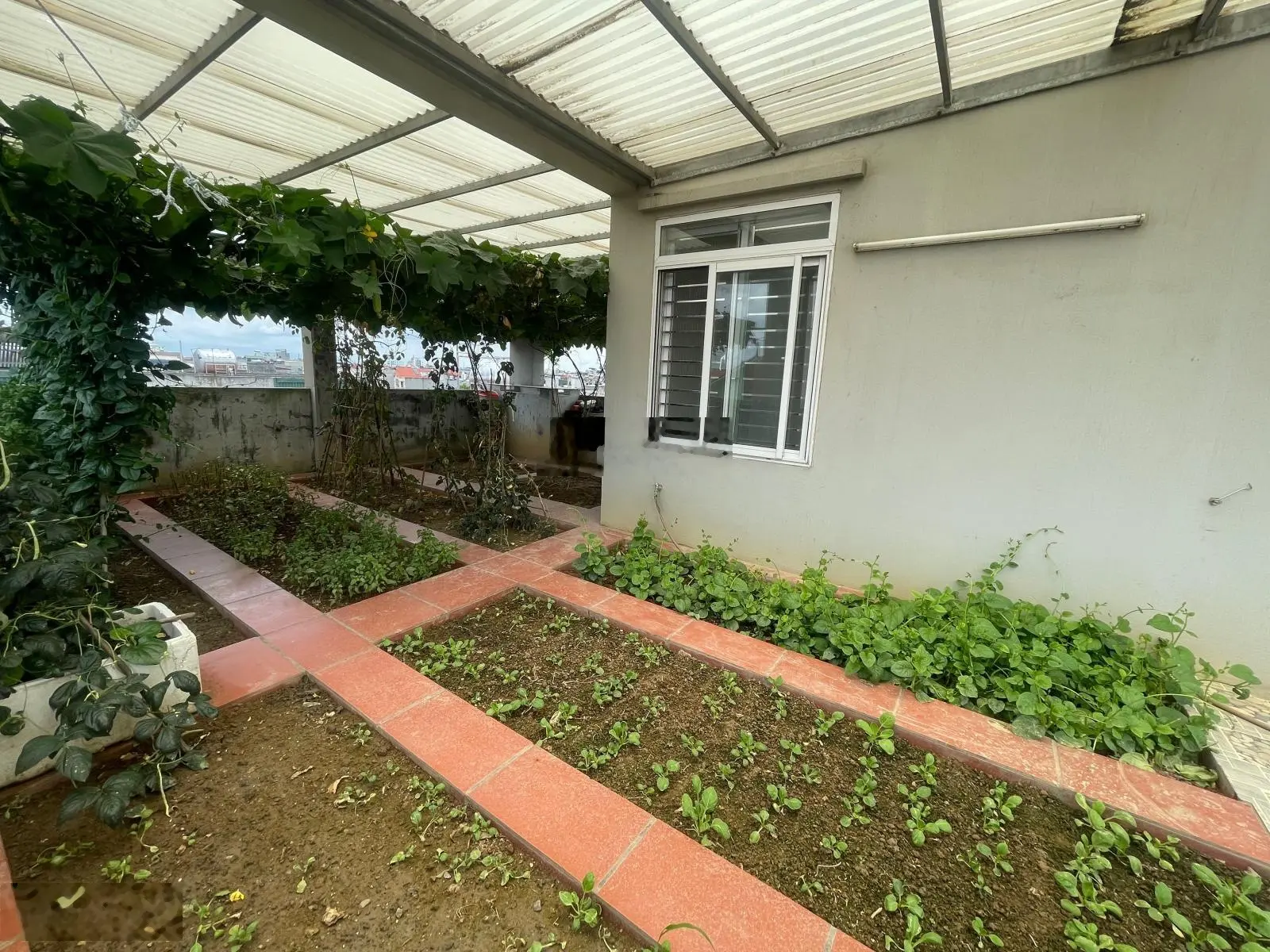 Bán nhà 4 tầng đối diện trường liên cấp Meri- Khu Vạn Phúc- Thanh Bình Tp Hải Dương.