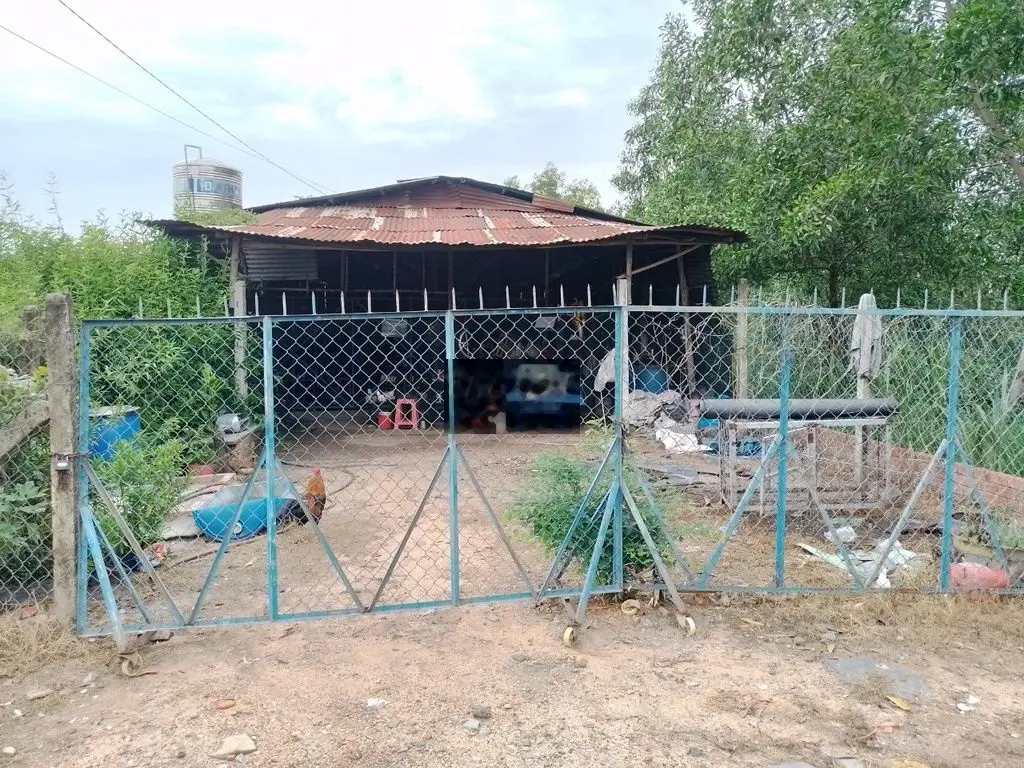 Đất cô ruột bán nhanh ngay MT DT784 - Giá 3,1 tỷ / 426m2 (70m2 thổ )