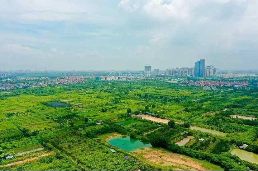 Siêu hot! Hàng hiếm giá thơm nhất phân khúc cc cao cấp, tiền nhỏ nhưng hưởng ngàn xanh sinh thái