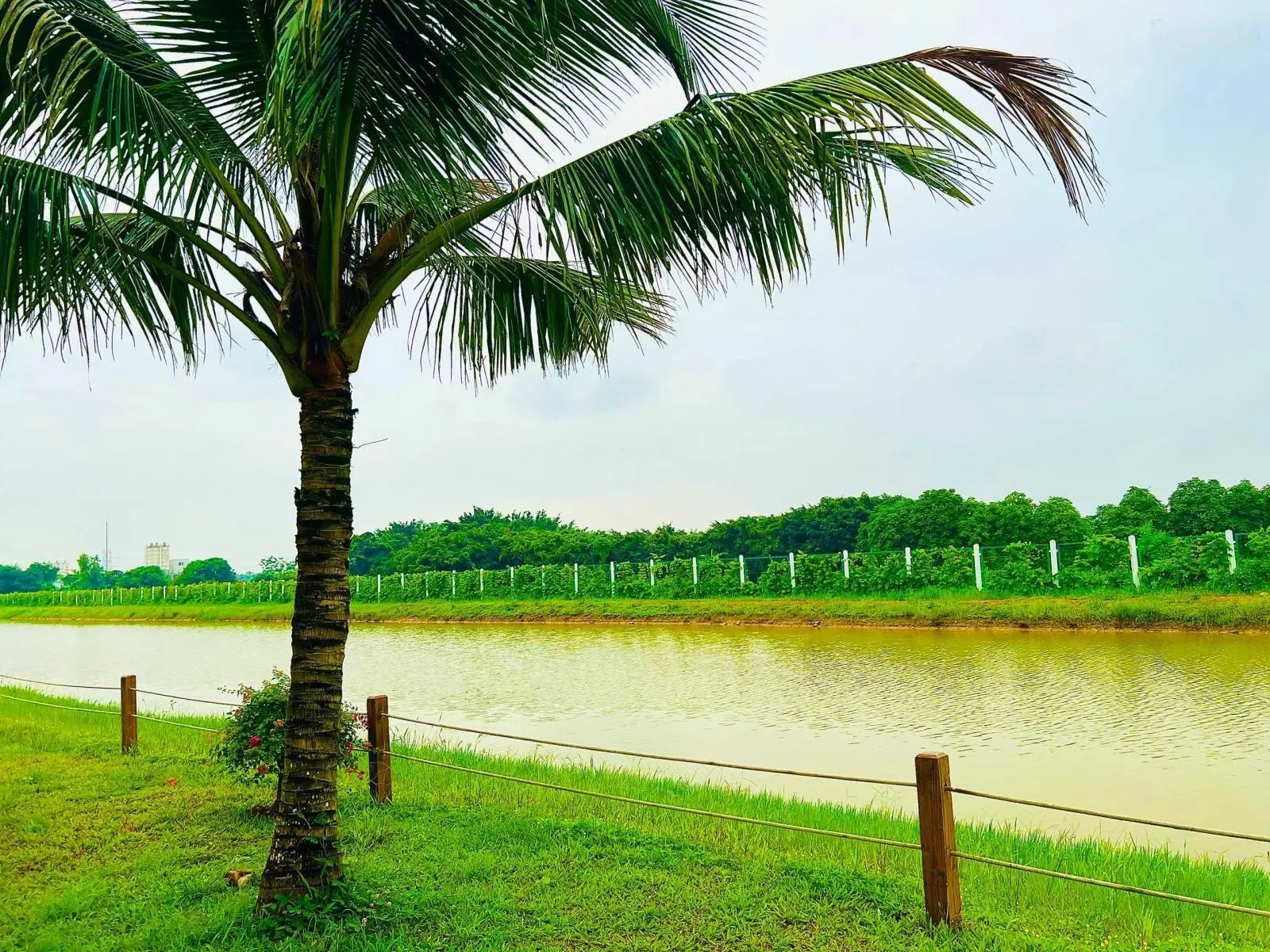 Quỹ biệt thự vip - sổ đỏ vĩnh viễn - Vinhomes Ocean Park 2