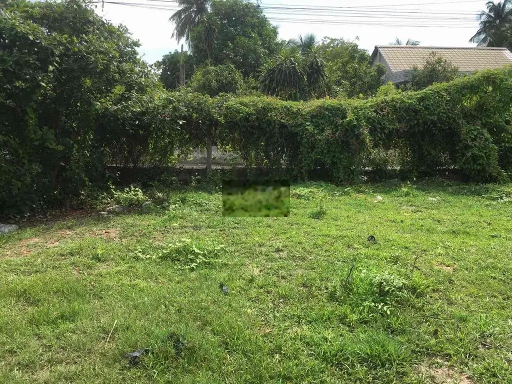 Đất đẹp