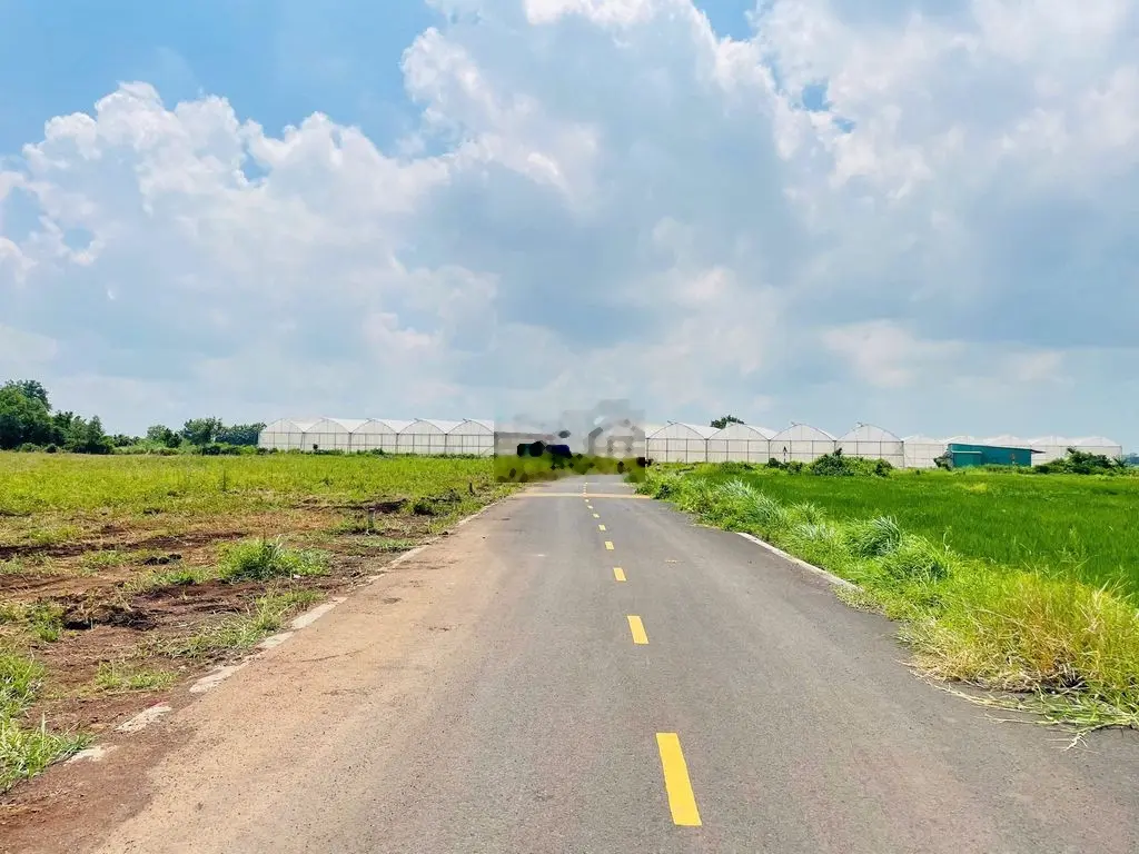 BÁN ĐẤT NHANH PHẠM HÙNG ĐƯỜNG NHỰA TIM VÀNG GIÁ CHỈ 590TR TL
