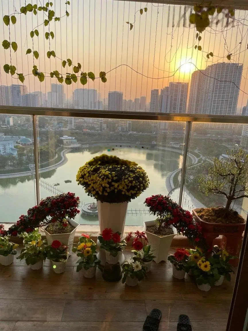 Cần bán căn 3 ngủ 161m2 view hồ Công Viên ở dự án Mandarin Garden, Cầu Giấy. Giá bán 101 triệu/m2