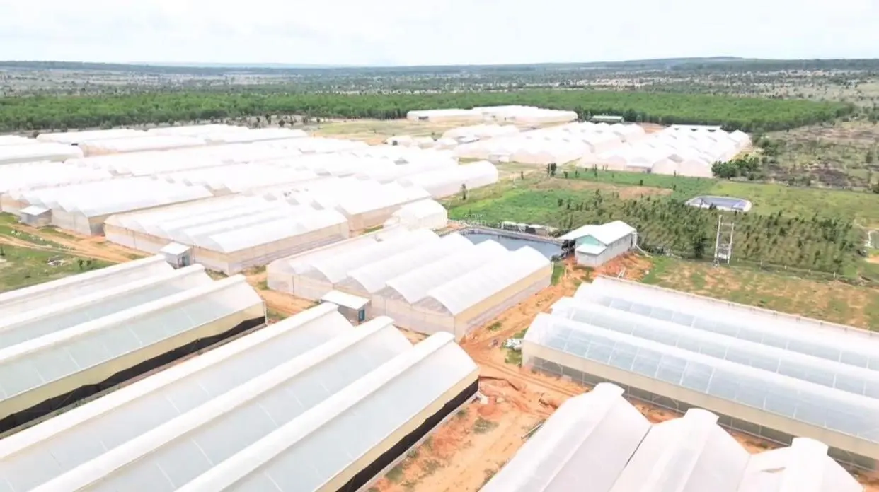 1tr2/m2 mô hình nhà vườn khép kín công nghệ cao khu vực Farm Hoà Thắng,canh tác 3 năm,lấy quả ngây