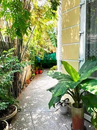Gần Mũi Tàu Cộng Hòa, Biệt Thự Cổ 252m2 Ngang 10m Chỉ 90tr/m2