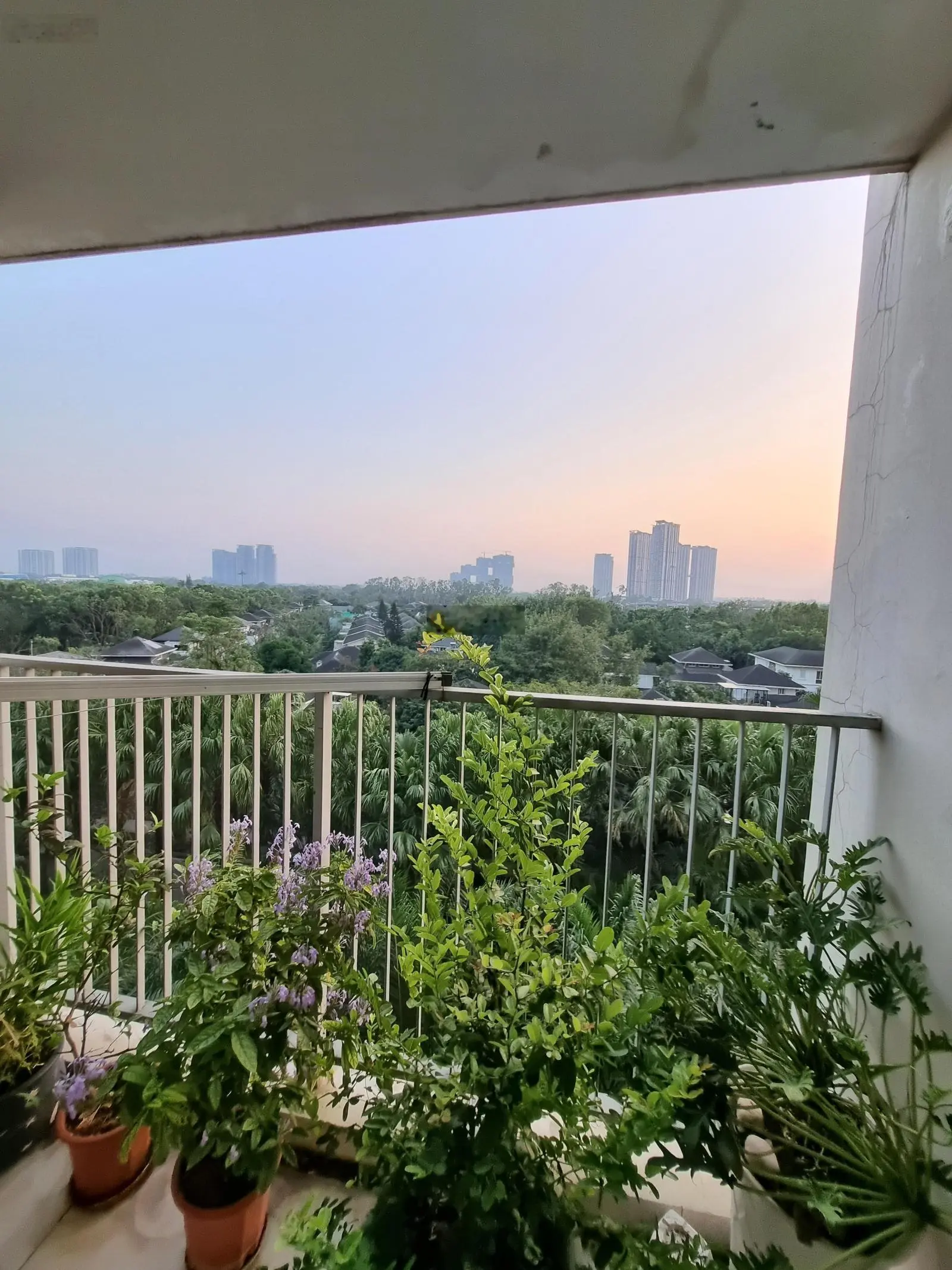 HẠ GIÁ BÁN NHANH92m chung cư Rừng Cọ Ecopark cần bán căn 3 ngủ để chuyển sang nơi khác