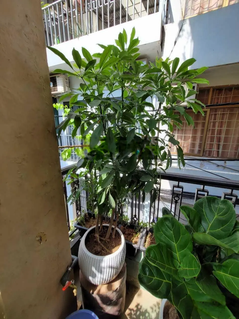 Bán nhà TỔNG CỤC 2 XUÂN LA_ VỊ TRÍ OTO TRÁNH VÀO. DIỆN TÍCH:45 M.4PN .Chào ,:14 tỷ.lh:0362 889 ***