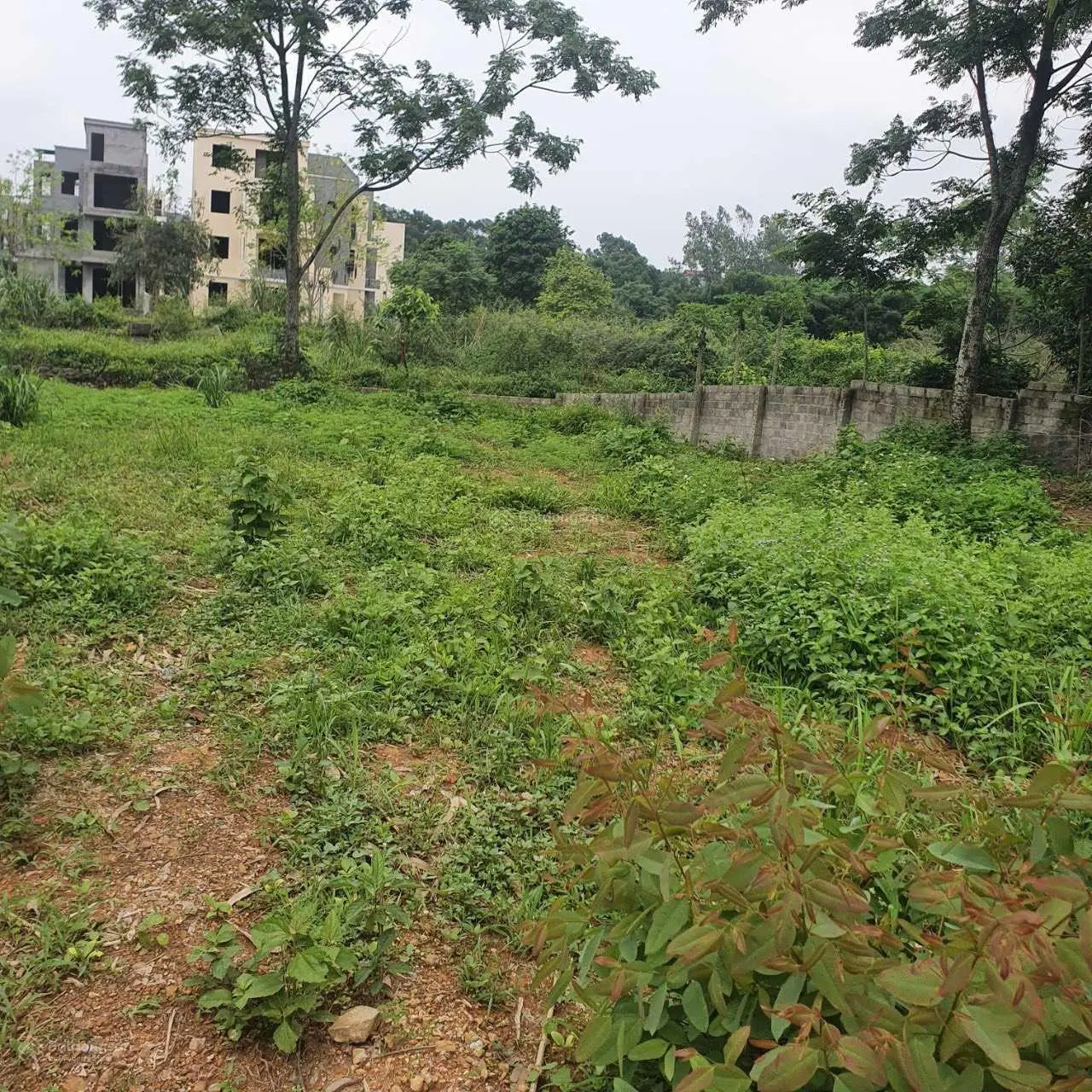 Bán đất tại Phú Cát, Quốc Oai. Diện tích 1588m2