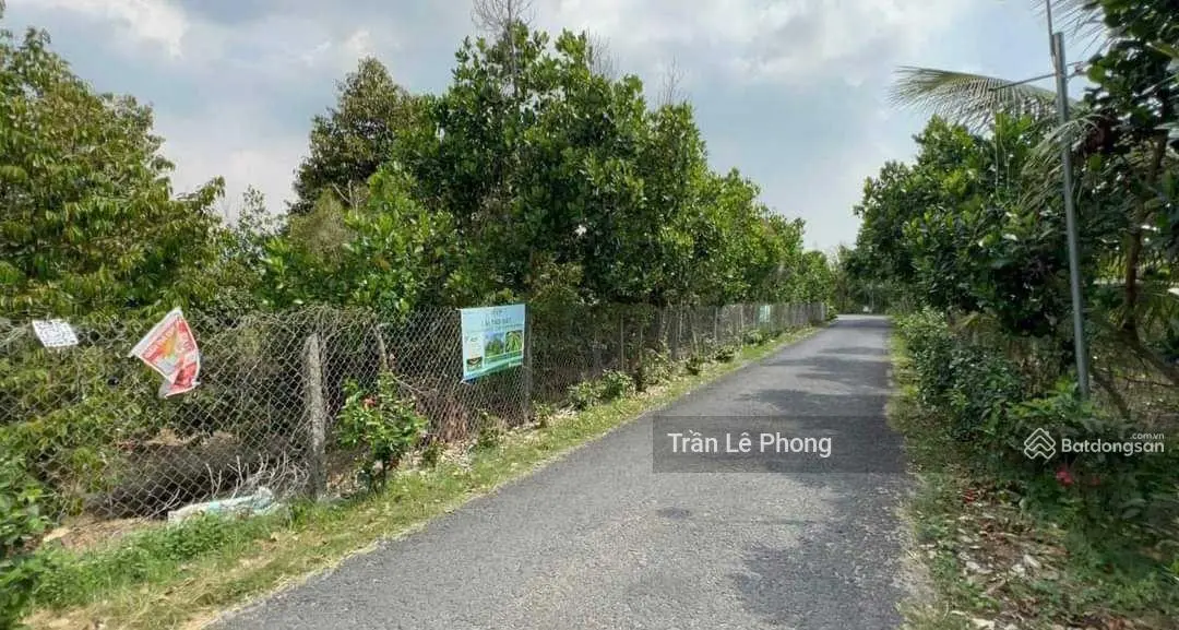 Kẹt tiền cần bán gấp 1852m2 vườn sầu riêng, chuẩn bị cho quả, ở T. T Tân Thạnh, giá 590tr