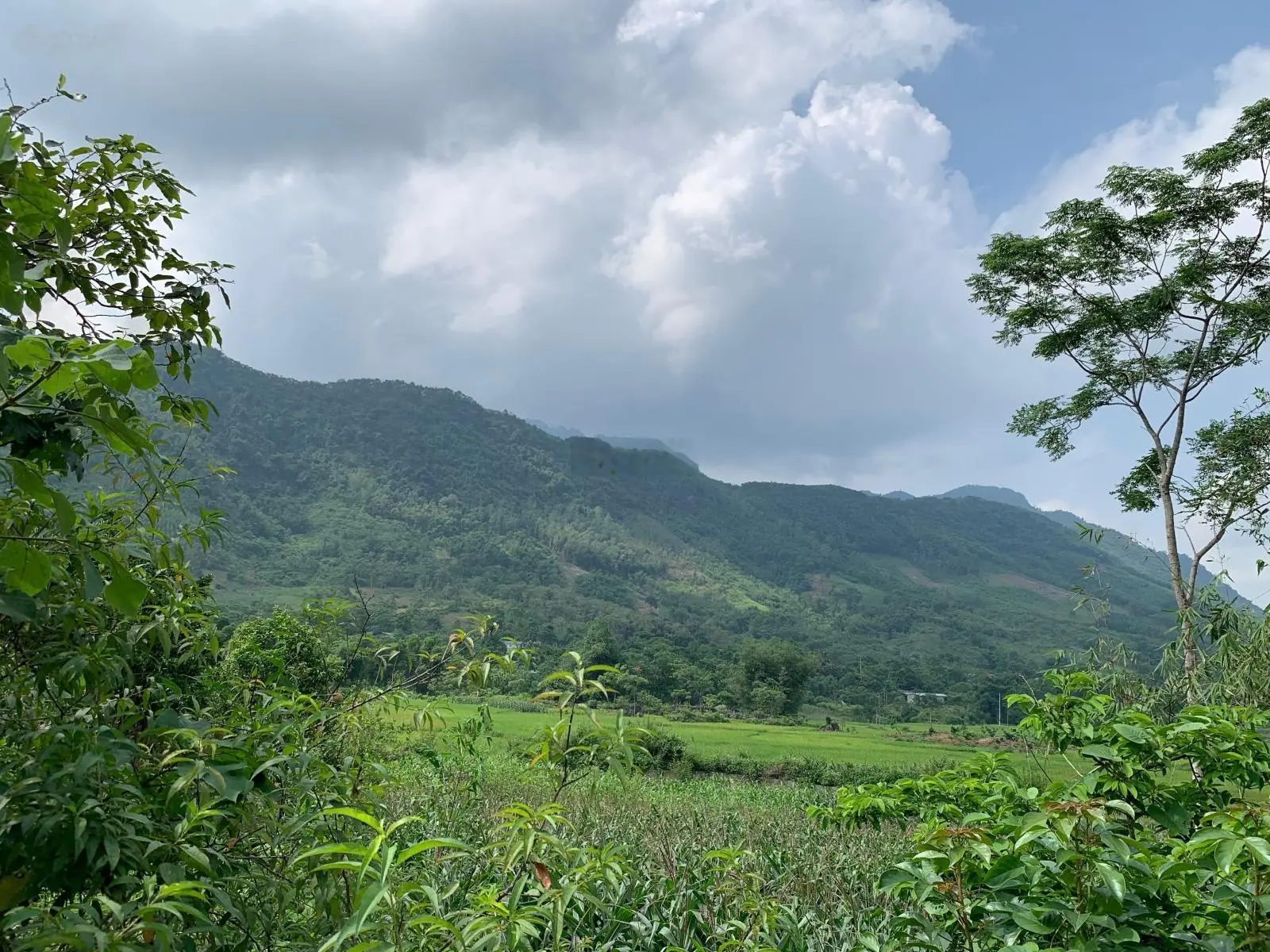 Bán 4300m có 350m ODT view cánh đồng tại trung tâm thị trấn đà bắc hoà bình giá 2ty350