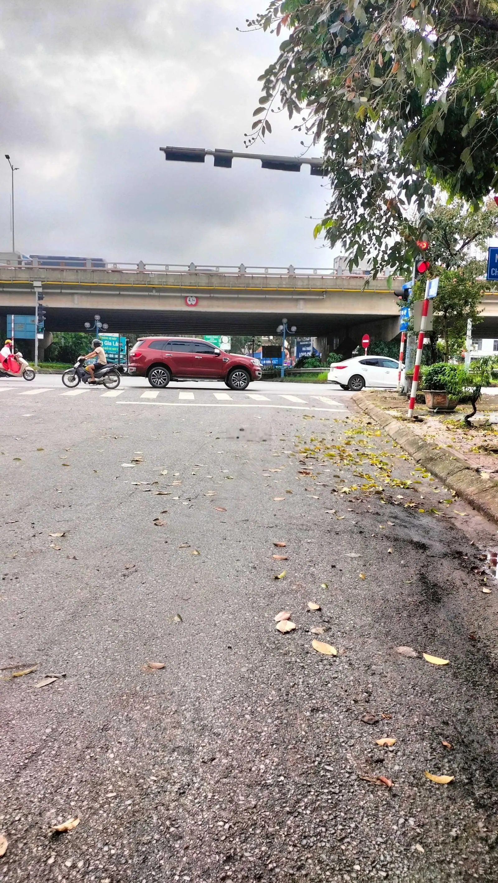 View hồ vườn hồ Long Biên* kinh doanh - nghỉ dưỡng, 3 tầng x 90m2 bề thế, MT 8,2m, ô tô đỗ ngày đêm