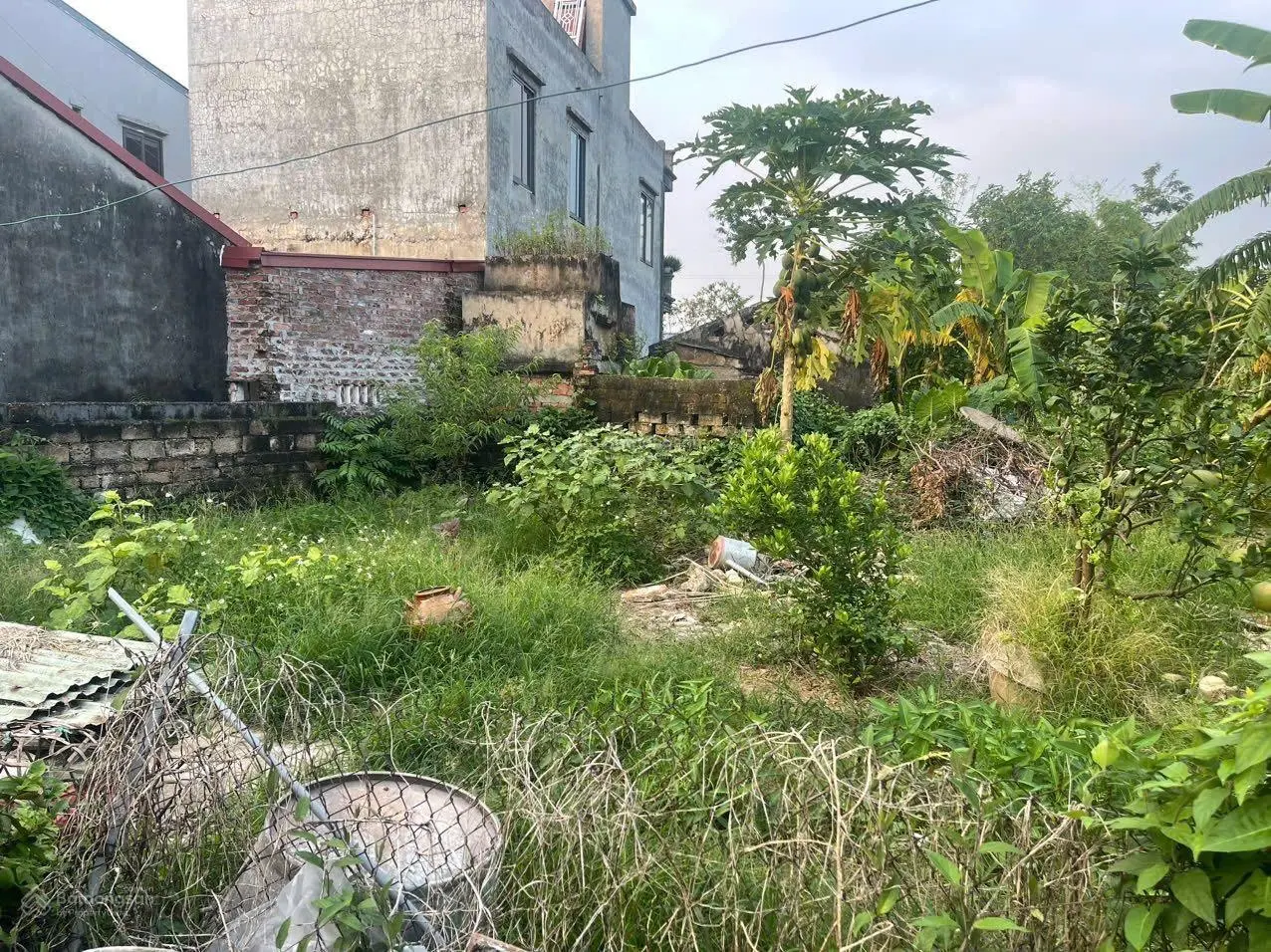 120m đất Hoa Vôi - Thị Trấn Quốc Oai - Hà Nội. Mặt tiền rộng 11m. Phù hợp làm nhà vườn tha hồ rộng