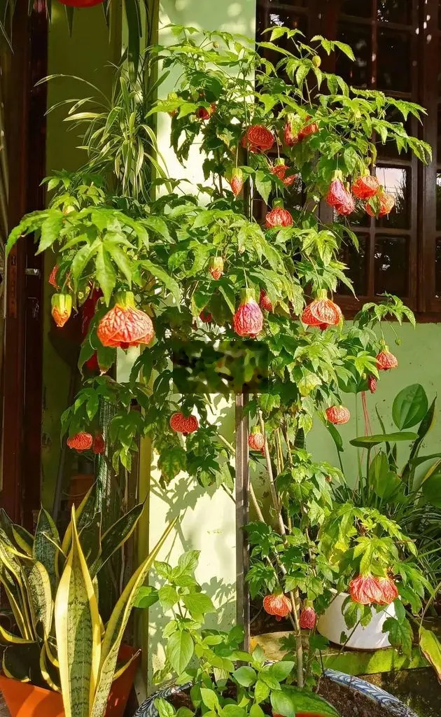 Nhà ở mặt tiền Lê Trọng Tấn giá 4,5 tỷ, diện tích 324 m2