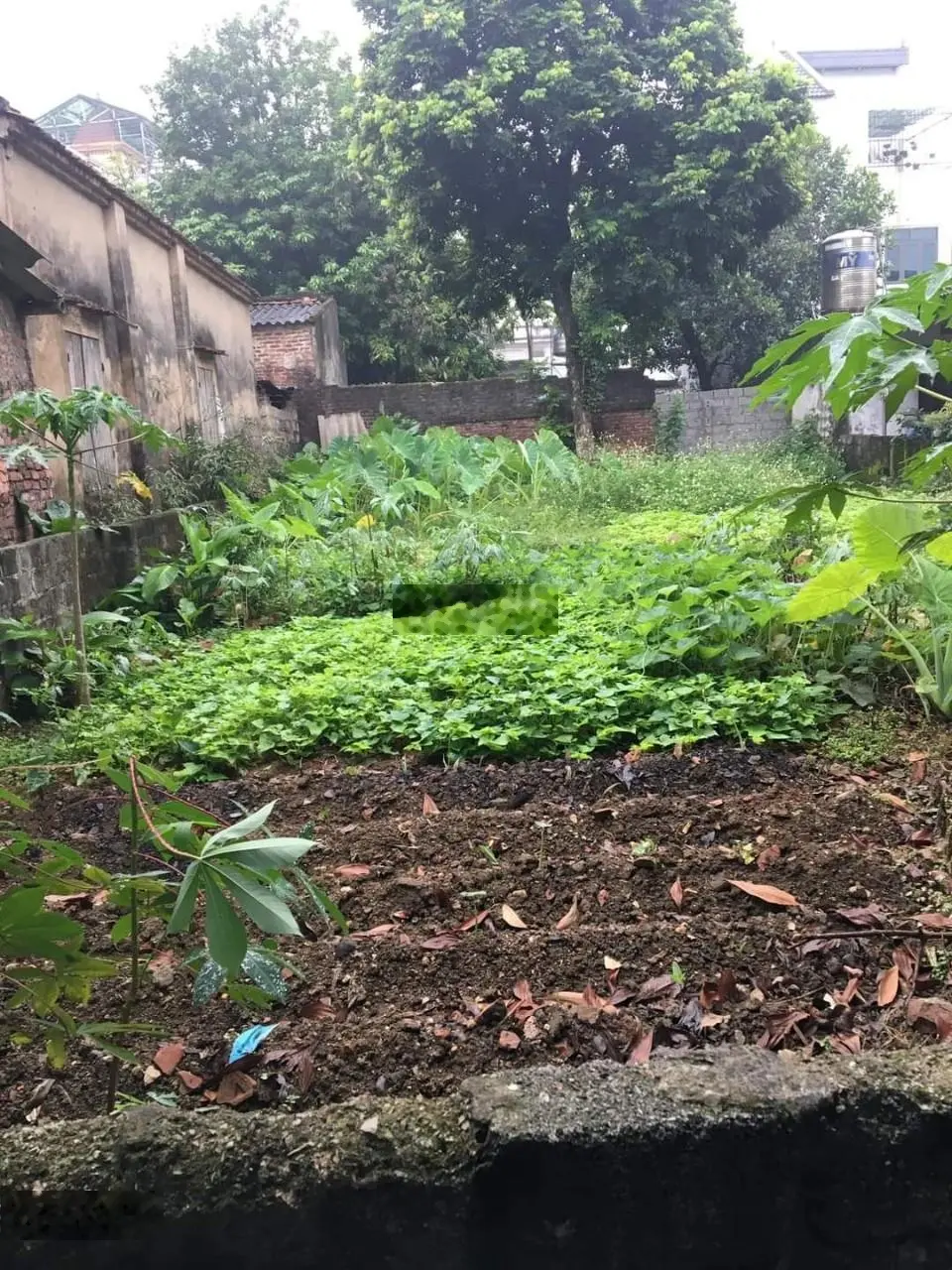 Bán đất tại Xuân Mai, Chương Mỹ. Diện tích 181m2, giá 2 tỷ
