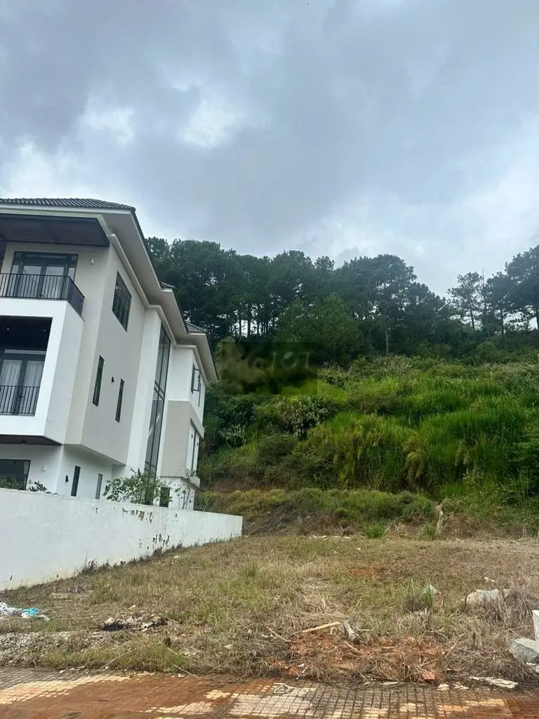 Khu dân cư An Sơn 307m2 nở hậu đều view rừng thông