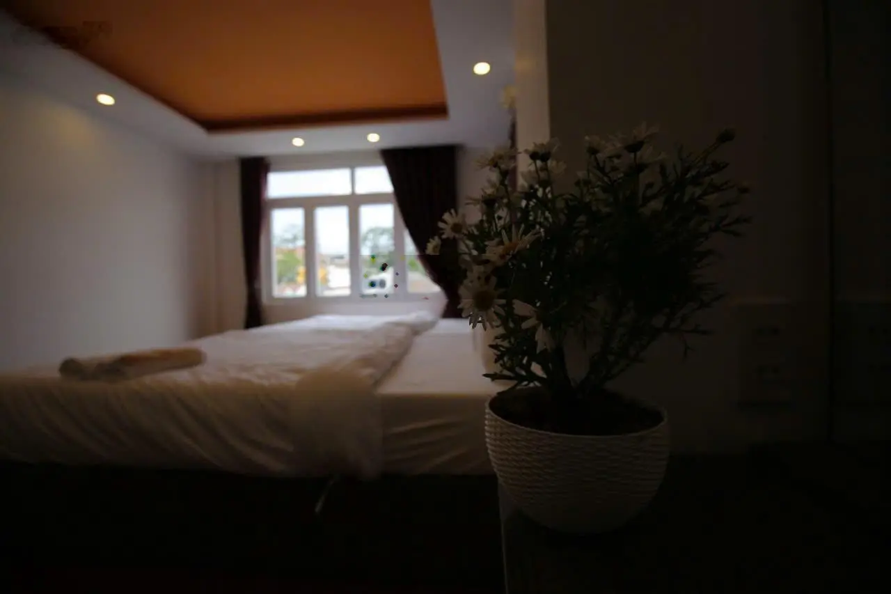 Khách sạn KQH Hoàng Văn Thụ P4 cách chợ đêm Đà Lạt chỉ 1km 4x18m 12 phòng kinh doanh chỉ 9,7 tỷ