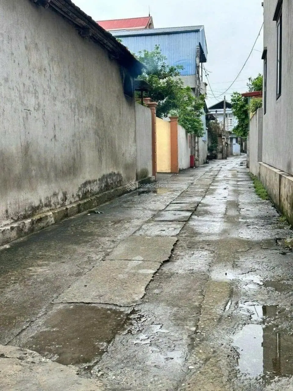 Chính chủ gửi bán lô đất ở Yên Vinh - Thanh Lâm - Mê Linh