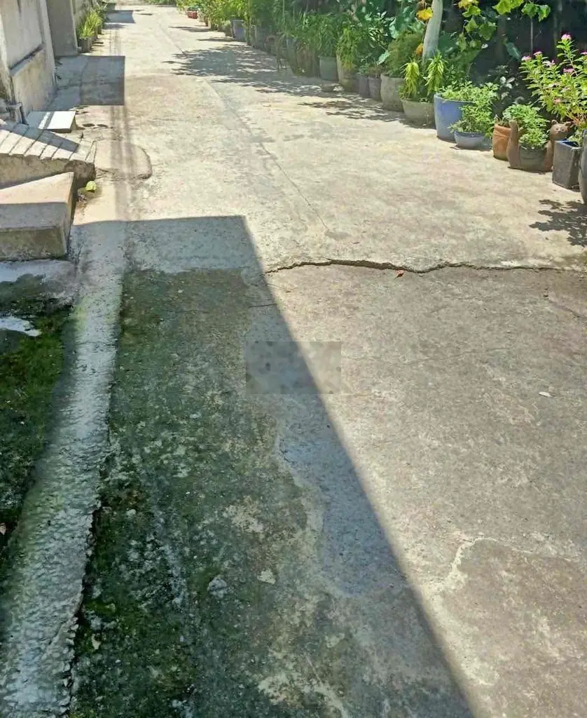 gần 200m2 mà giá rẻ