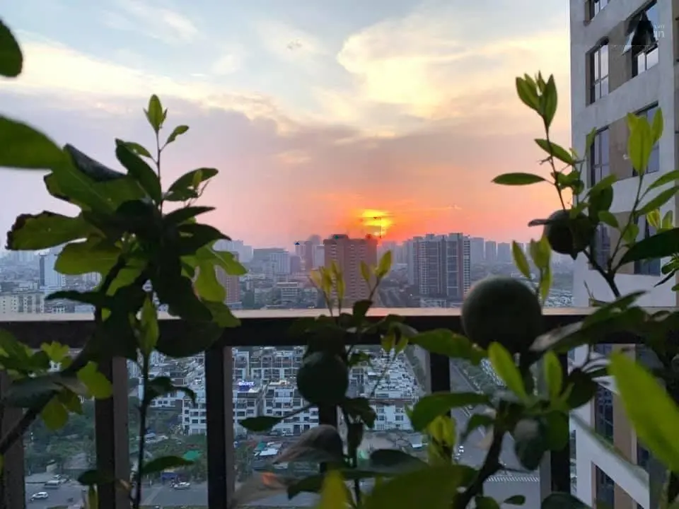 Chuyển nhượng gấp quỹ căn hộ 02-03 Phòng ngủ dự án 6th Element Liên hệ :0358 589 ***