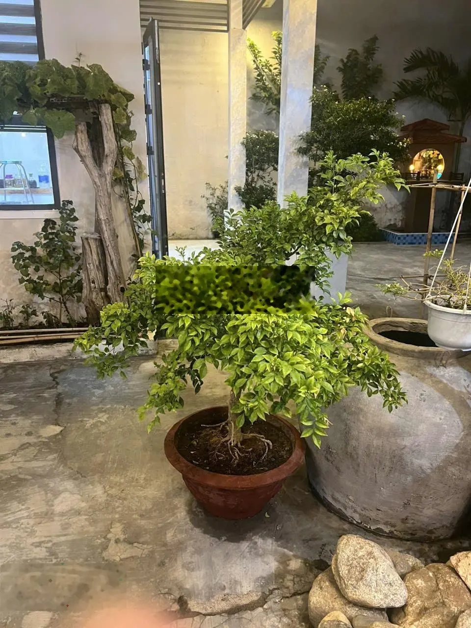Bán nhà villa kiệt ô tô Mai Đăng Chơn, Hoà Quý, Ngũ Hành Sơn, Đà Nẵng