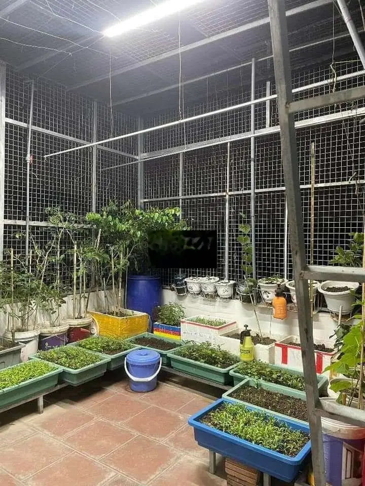 Thúy Lĩnh! .Nhà xây kiên cố 60m²,mặt tiền 4m,3 ngủ 3,99 tỷ,sổ đỏ