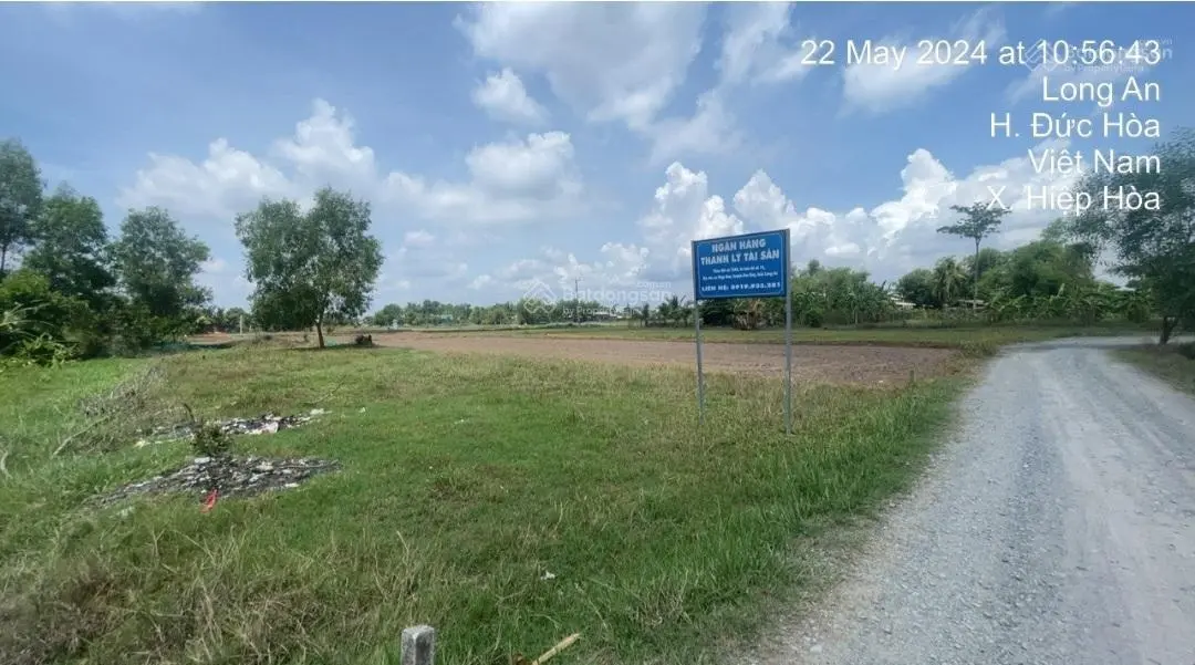 Ngân hàng thanh lý tài sản đất DT 482m2
