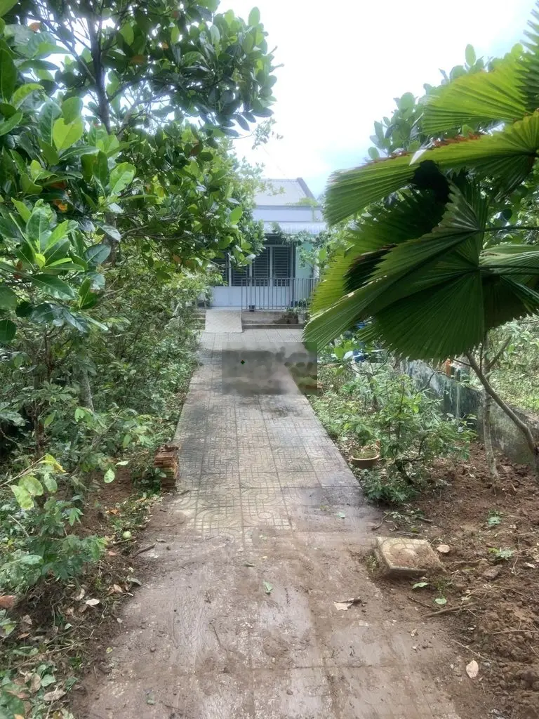 Bán nhà Vĩnh Long, P8, vị trí tốt, yên tĩnh