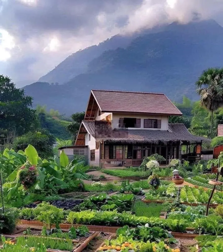 🌺ĐÂY LÀ NƠI TÔI MUỐN VỀ HƯU: VÙNG ĐẤT THƠ MỘNG XANH MÁT TẠI ĐỒNG NAI🌳