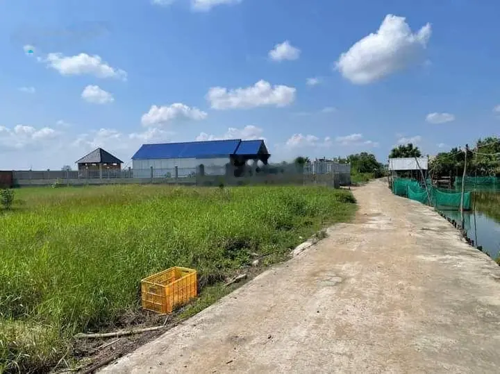 Đất vườn giá rẻ thị trấn cần giuộc lô 500m2 (11,8m x 42,5m), đường xe tải lớn tới đất