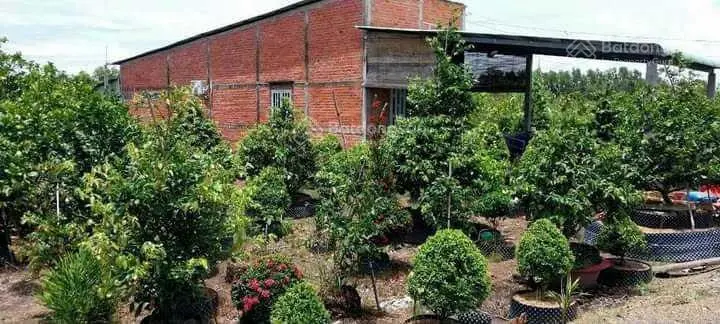 Đất vườn mặt tiền kênh nhỏ trên đất đã có nhà cấp 4 đẹp 2000m2 chỉ 1tỷ550