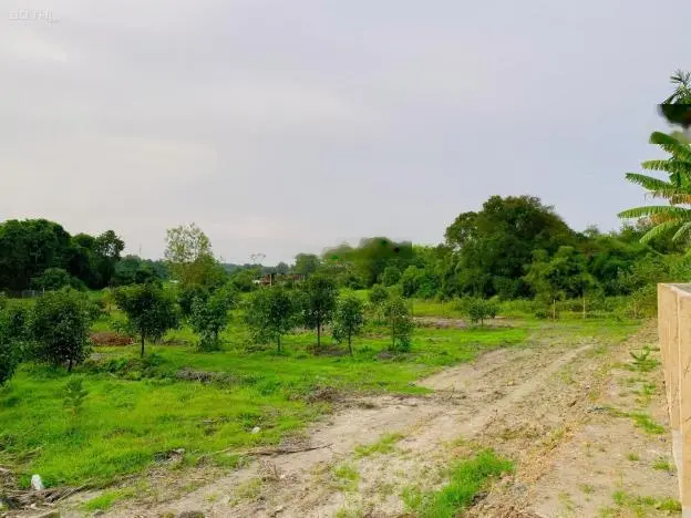 Bán đất Củ Chi, lô đất MT đường nhựa Nguyễn Thị Dòn, 3.838m2, có 150m thổ cư, xã Nhuận Đức.