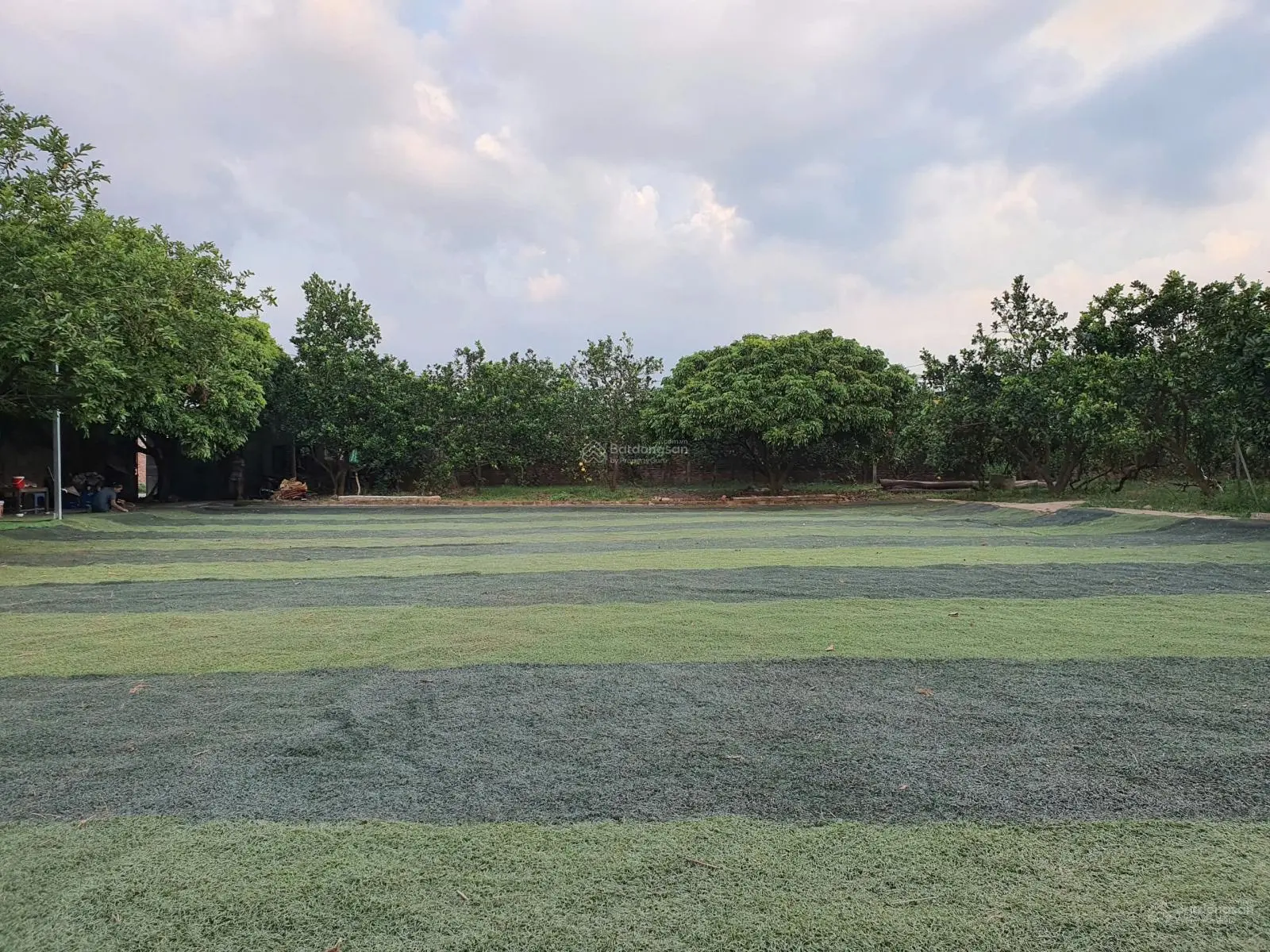 Em bán giúp người nhà đất vườn có sẵn nhà, DT đất 1.380m2, 9 tỷ 700 tại Tân Phú Quốc Oai, Hà Nội