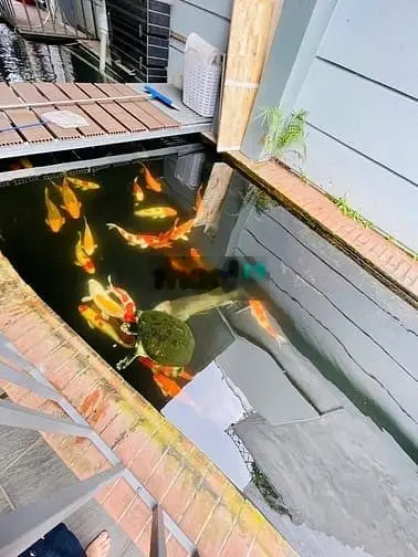 Bán Biệt Thự KDC Khang Điền, Dương Đình Hội, DT 356.7m2 chỉ 29.8 tỷ