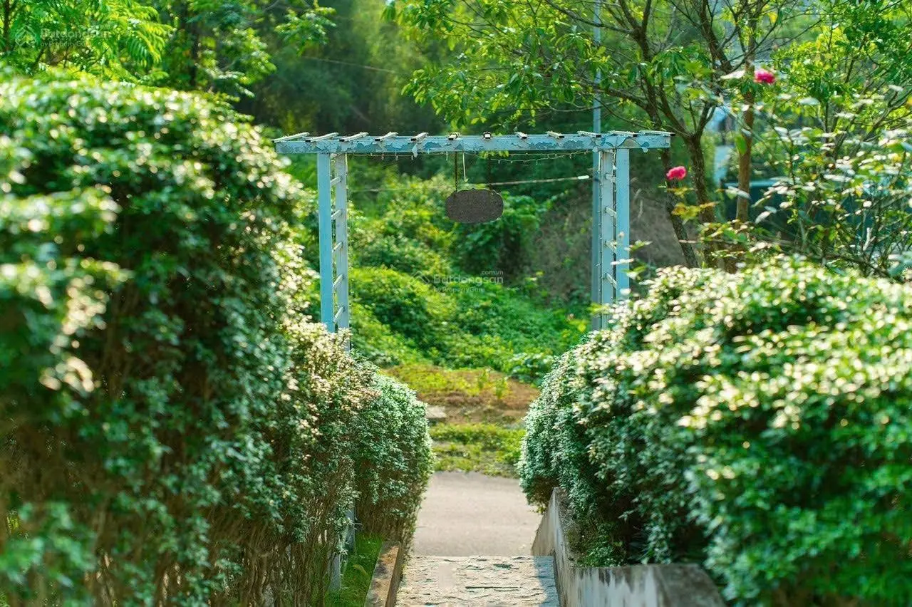 Siêu phẩm biệt thự 300m² đầy đủ nội thất, hồ bơi tại Lương Sơn - giá cực tốt!