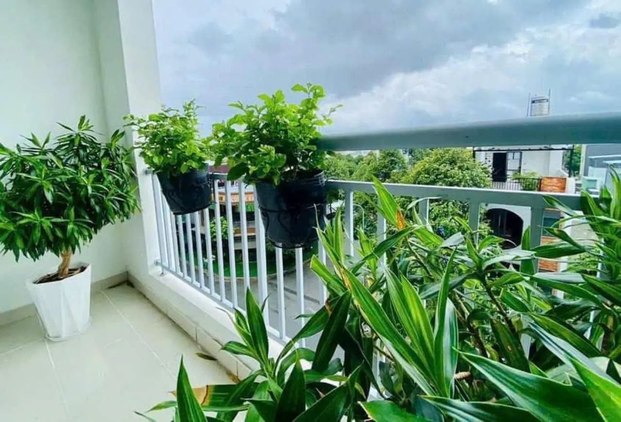 Hàng độc quyền chỉ với 1,2 tỷ sở hữu căn hộ Thanh Bình sổ hồng riêng 58m2, TPThuận An.Tháng 11/2024