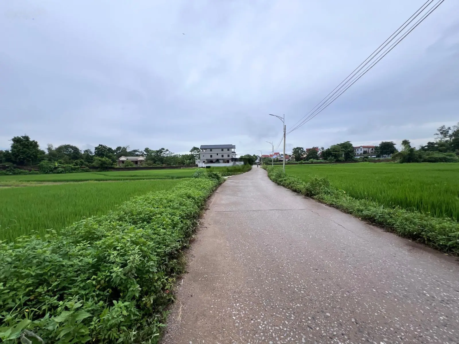 Bán gấp 2240m2 300m2 TC tại phường Đắc Sơn, Phổ Yên Thái Nguyên, cách DT 301 vào 200m