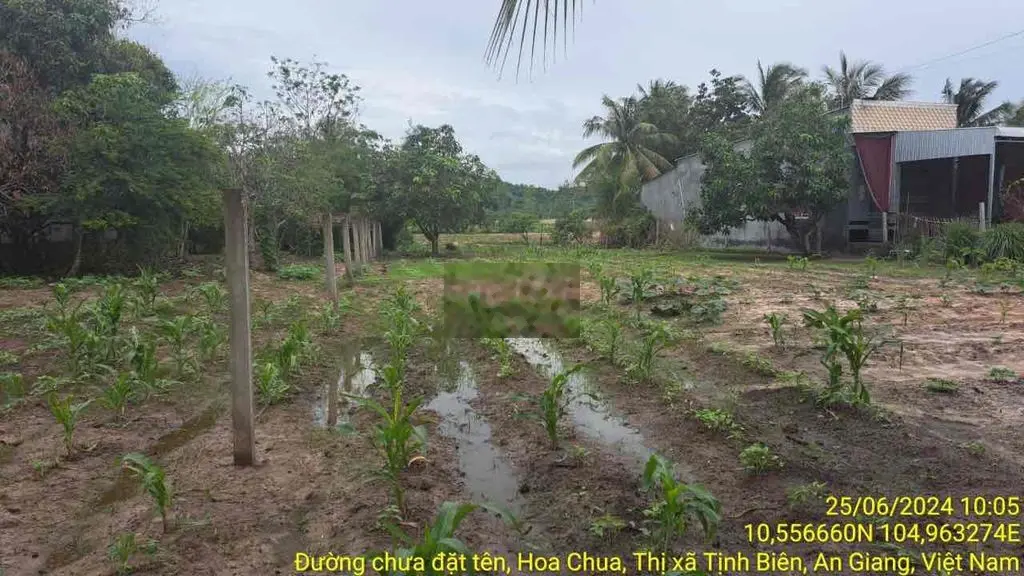 Bán đất 6746m2 có 550m2 đất ở MT Đường 949 Tx Tịnh Biên An Giang 6,7t