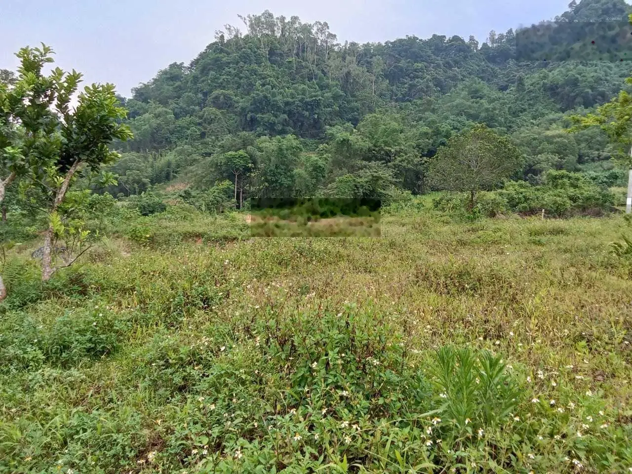 Cần bán mảnh đất tại thị trấn Đà Bắc, Hòa Bình. Diện tích 28000m2, giá 1,85 tỷ