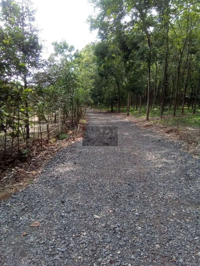 2000m2 Đất và Vườn Sát Sân Bay Long Thành