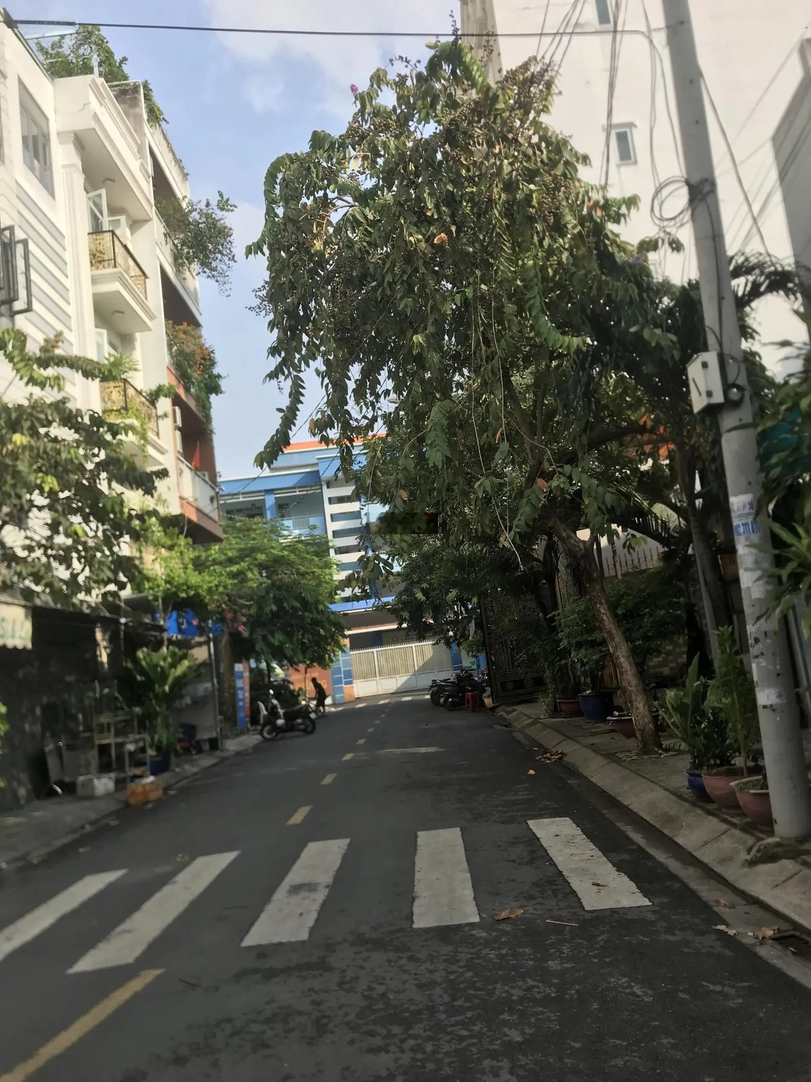 Ngay chợ tân bình với đường Lý Thường Kiệt, DT 79m2, giá chỉ 6.8 tỷ