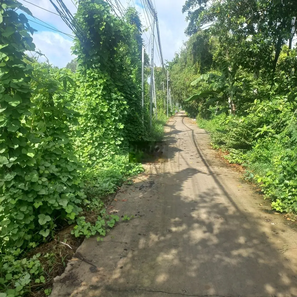Đất trồng cây lâu năm có nhà cấp 4