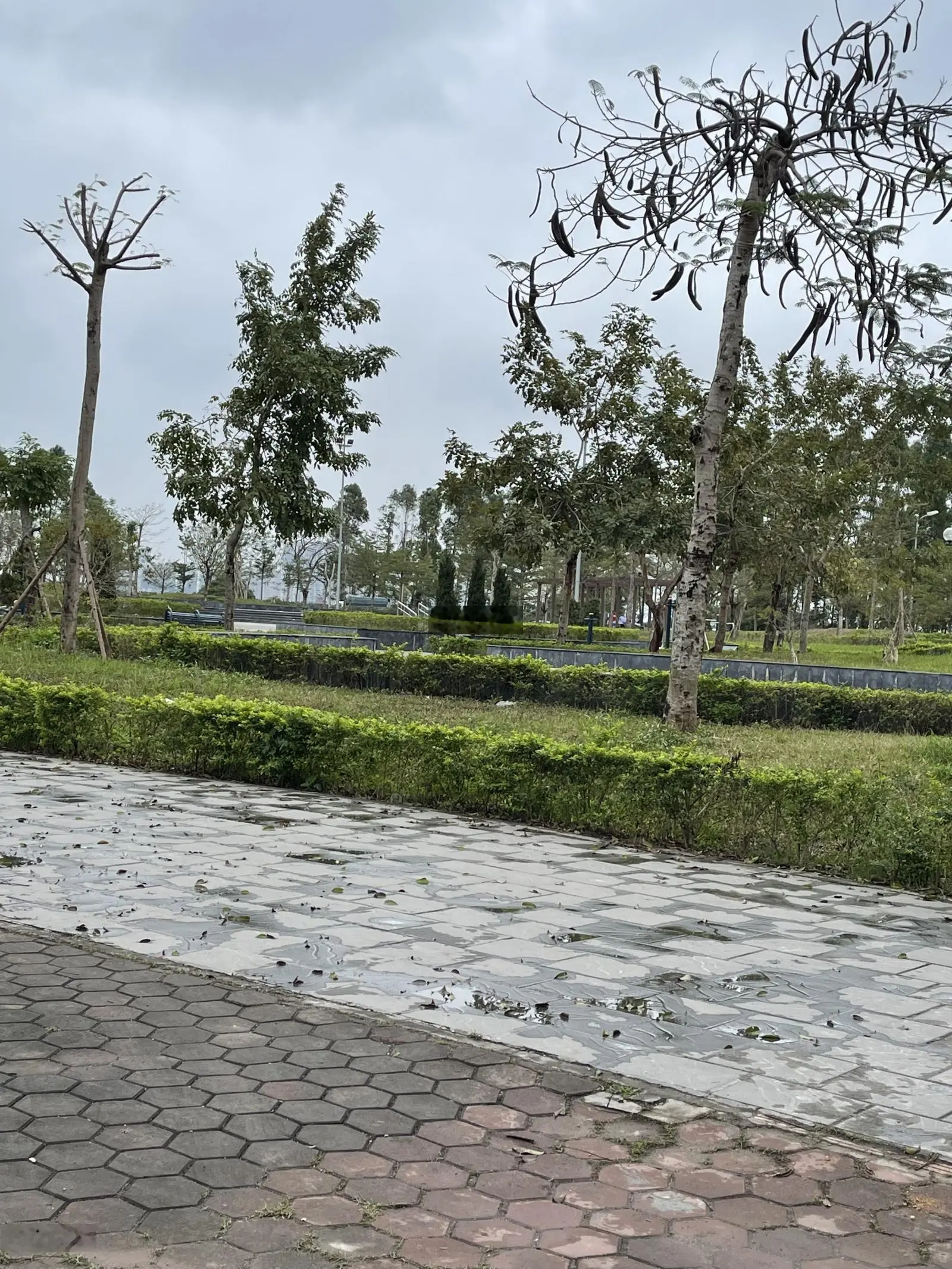 Thạch bàn cự khối phân lô tđc nhà mới 5 tầng ô tô đỗ cửa hơn 4tỷ
