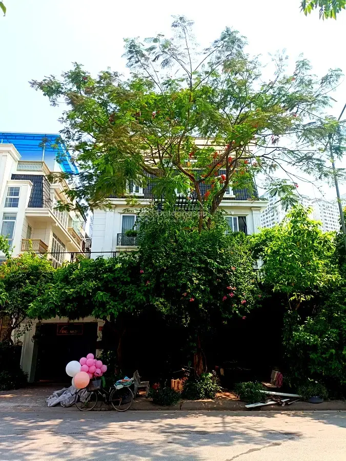 Bán biệt thự vip góc Linh Đàm, Hoàng Mai - kinh doanh đỉnh - 225m2 x 4T - khoảng 60 tỷ