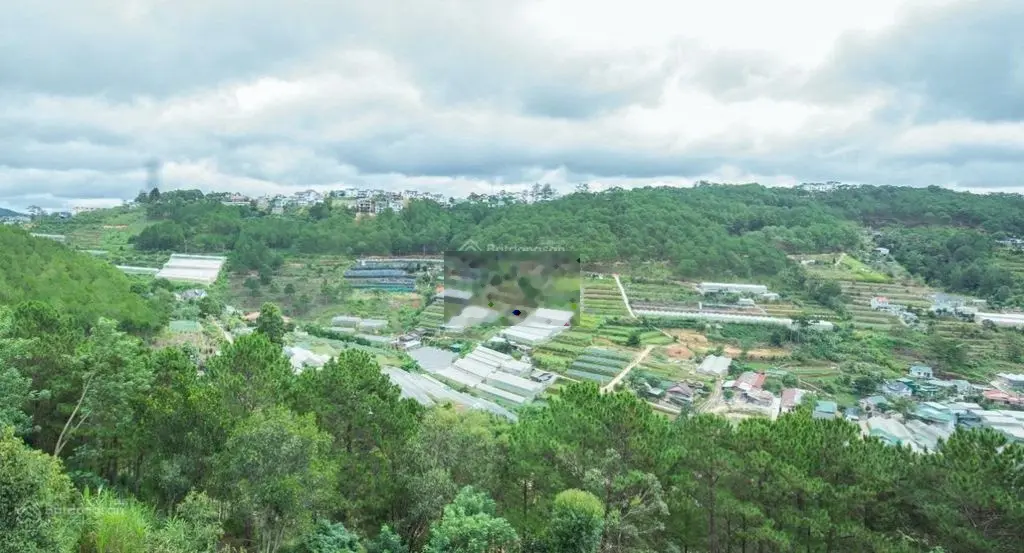 Nhà KQH Trần Quang Diệu P10 141.83m2 view thoáng thung lũng rừng thông