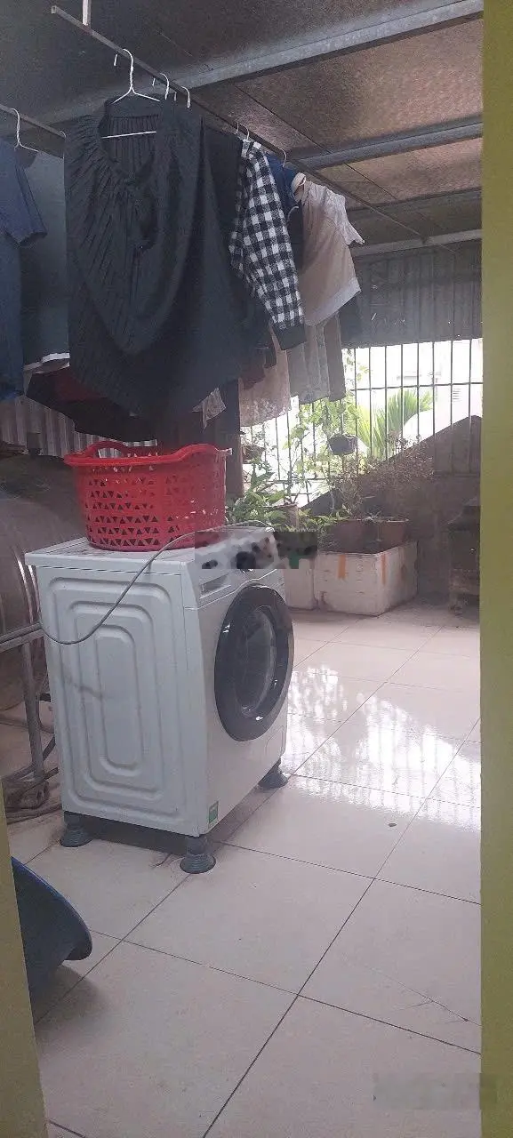 Bán Nhà Riêng tại Thạch Bàn, 4 tỷ, 34m2, 3PN + 3WC, Chính chủ giá siêu hời